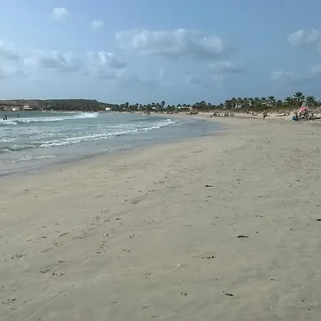 Sardinia Eco Vegan House Zeddiani
