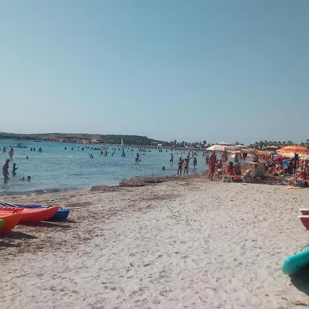 Sardinia Eco Vegan House * Zeddiani