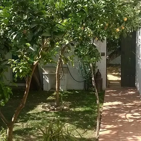 Nocleg ze śniadaniem Sardinia Eco Vegan House *