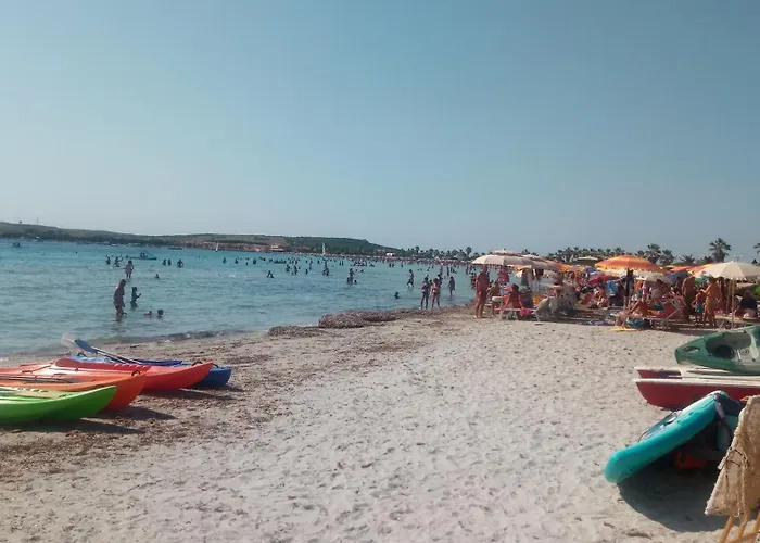 Sardinia Eco Vegan House * Zeddiani
